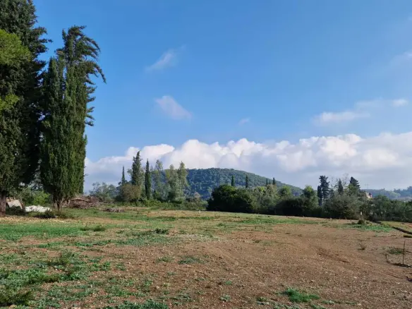 Land In Corfu, Greece