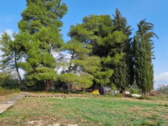 Land In Corfu, Greece