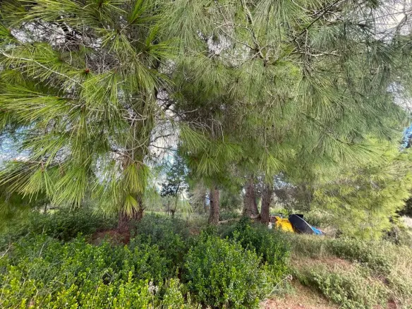 Land In Corfu, Greece