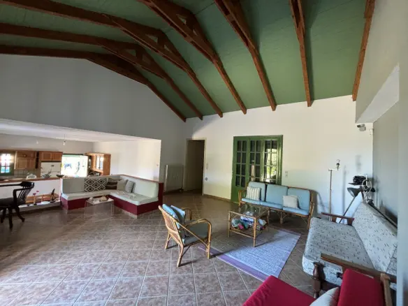 Detached House In Artemisio, Greece (350 M²)