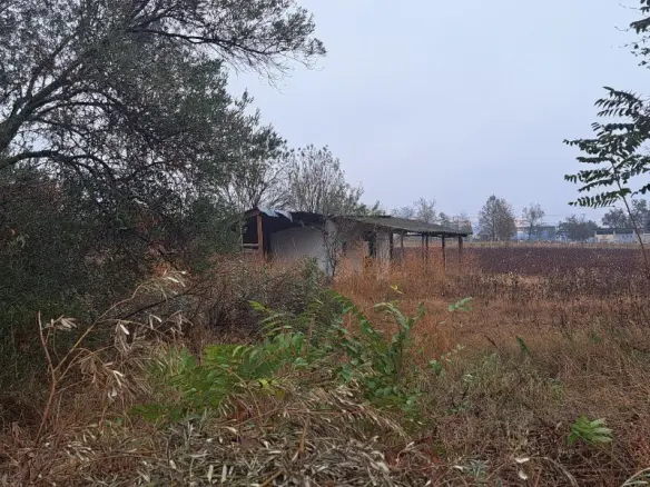 Land In Thermi, Greece