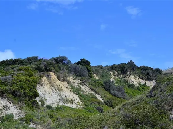 For Sale Land 12000 M² In Corfu