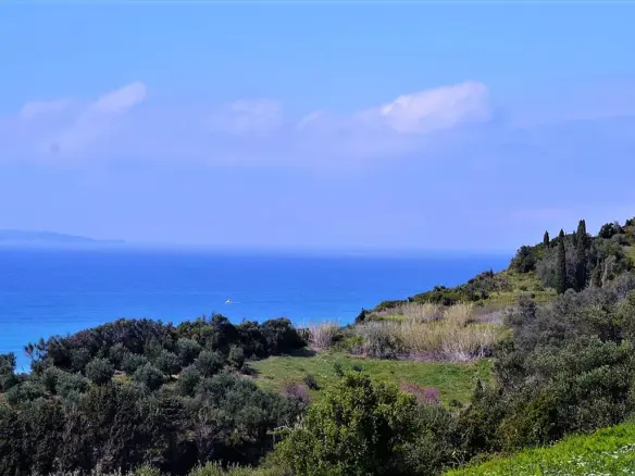 For Sale Land 12000 M² In Corfu