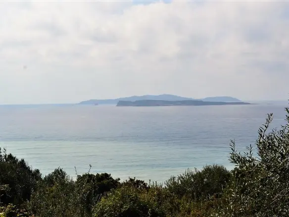 For Sale Land 12000 M² In Corfu