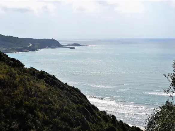 For Sale Land 12000 M² In Corfu