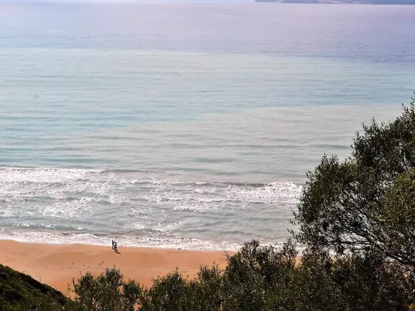 For Sale Land 12000 M² In Corfu