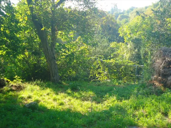 Land In Mouresi, Greece