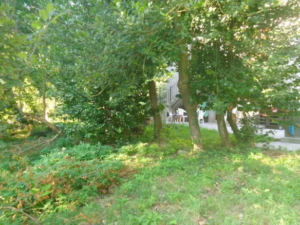 Land In Mouresi, Greece