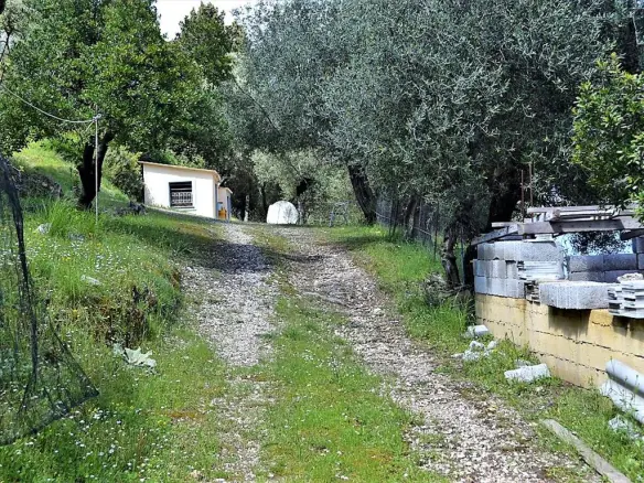 For Sale Land 7000 M² In Corfu