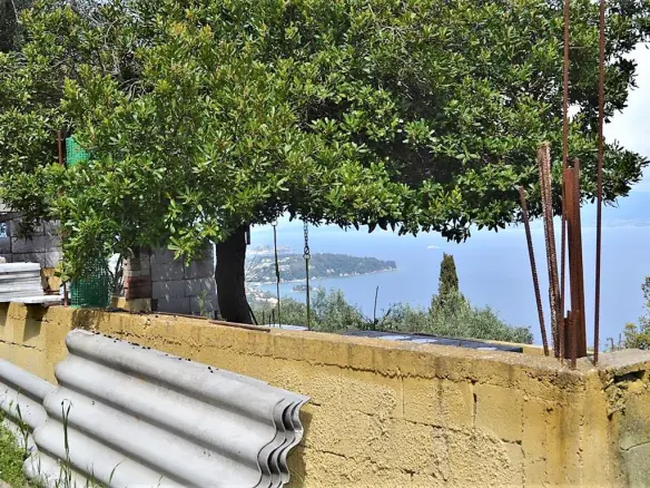 For Sale Land 7000 M² In Corfu