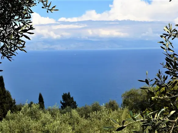 For Sale Land 4000 M² In Corfu