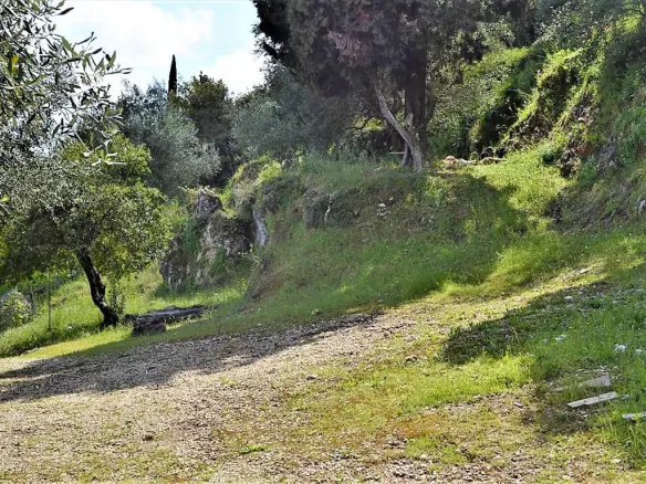 For Sale Land 4000 M² In Corfu