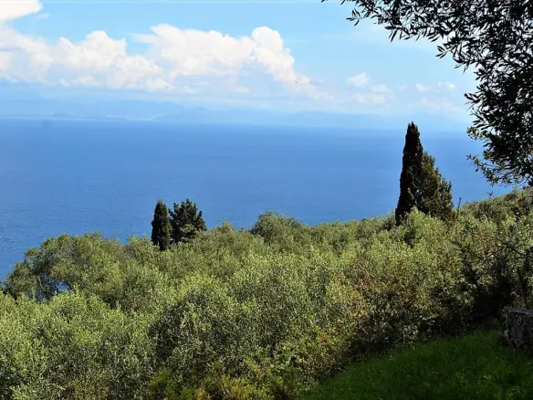 For Sale Land 4000 M² In Corfu