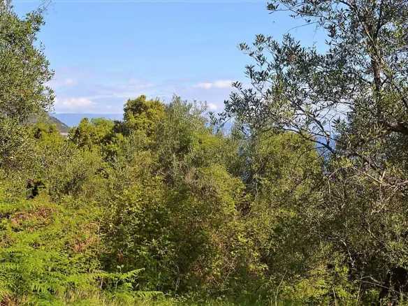 Land In Corfu, Greece