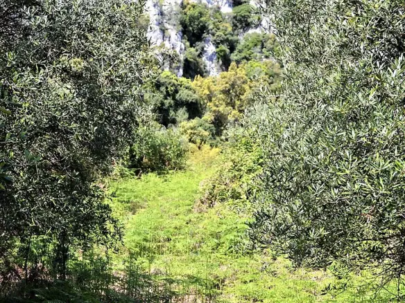 Land In Corfu, Greece