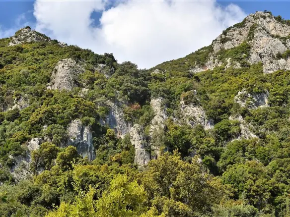 Land In Corfu, Greece