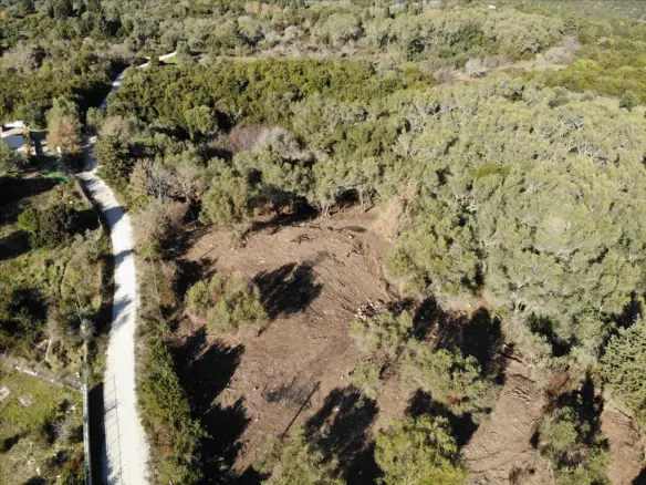 Land In Corfu, Greece