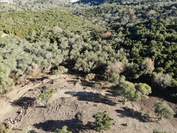 Land In Corfu, Greece