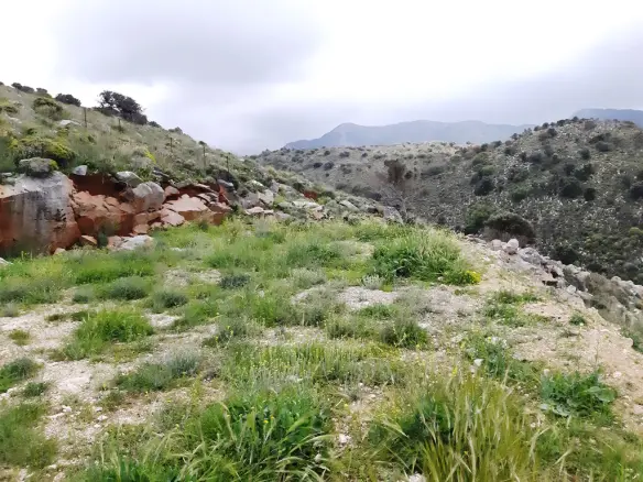 For Sale Land 8500 M² In Crete