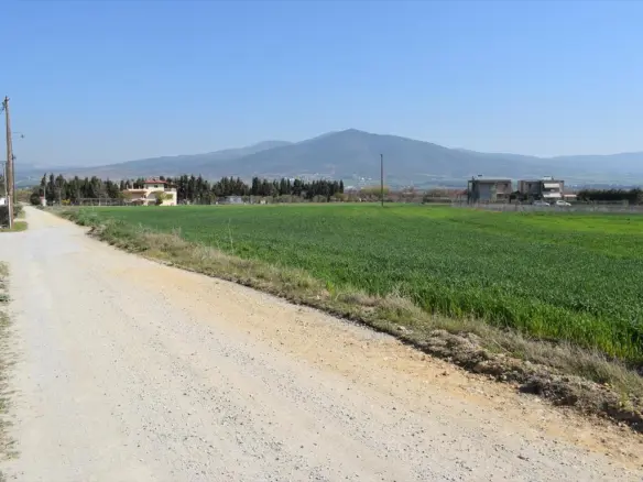 Land In Epanomi, Greece
