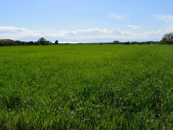 Land In Epanomi, Greece
