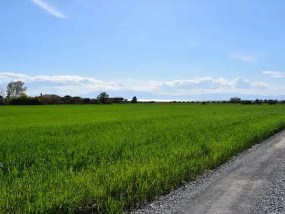 Land In Epanomi, Greece