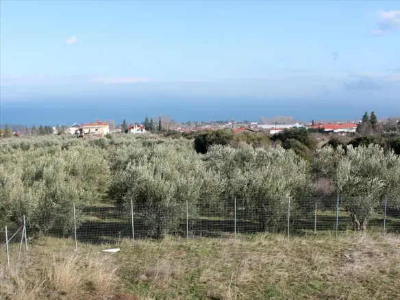 For Sale Detached House 416 M² On The Olympic Coast