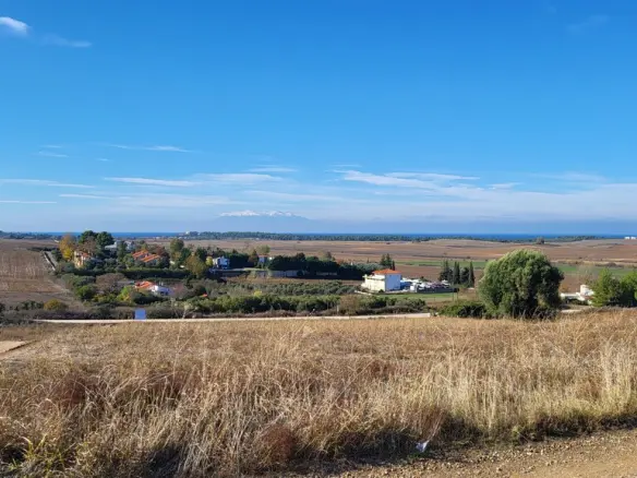 Land In Kassandra, Greece