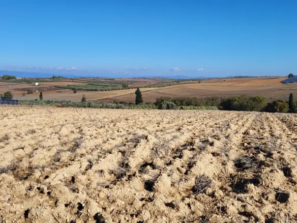 Land In Kassandra, Greece