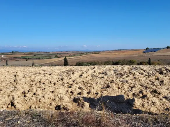 Land In Kassandra, Greece