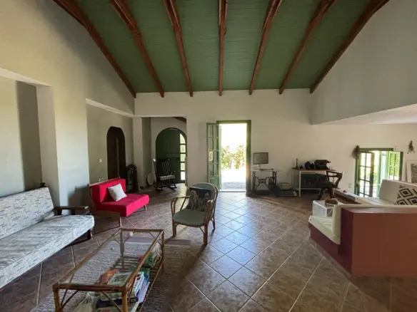 Detached House In Artemisio, Greece (350 M²)