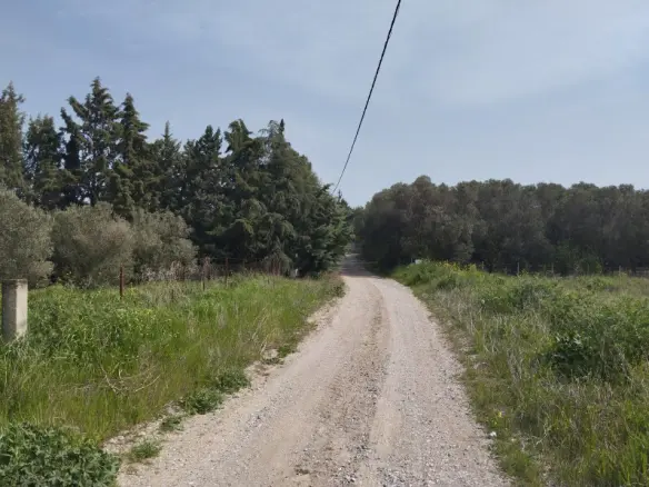 Land In Epanomi, Greece