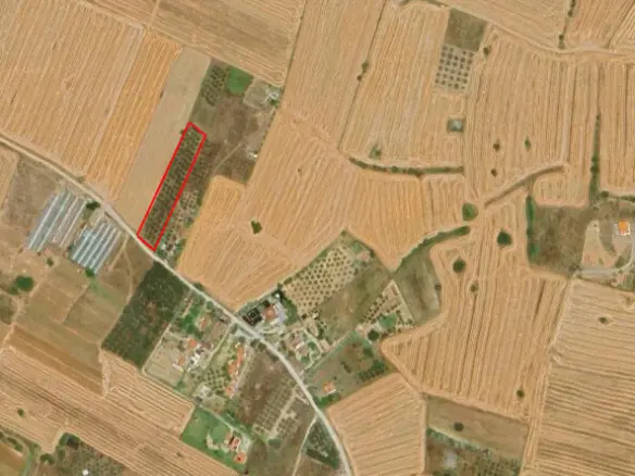 Land In Epanomi, Greece