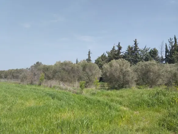 Land In Epanomi, Greece