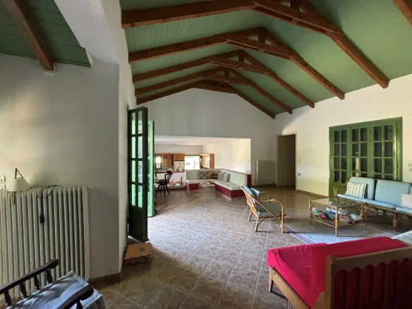 Detached House In Artemisio, Greece (350 M²)
