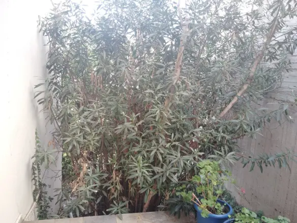 2-bedroom Flat In Sithonia, Greece (103 M²)