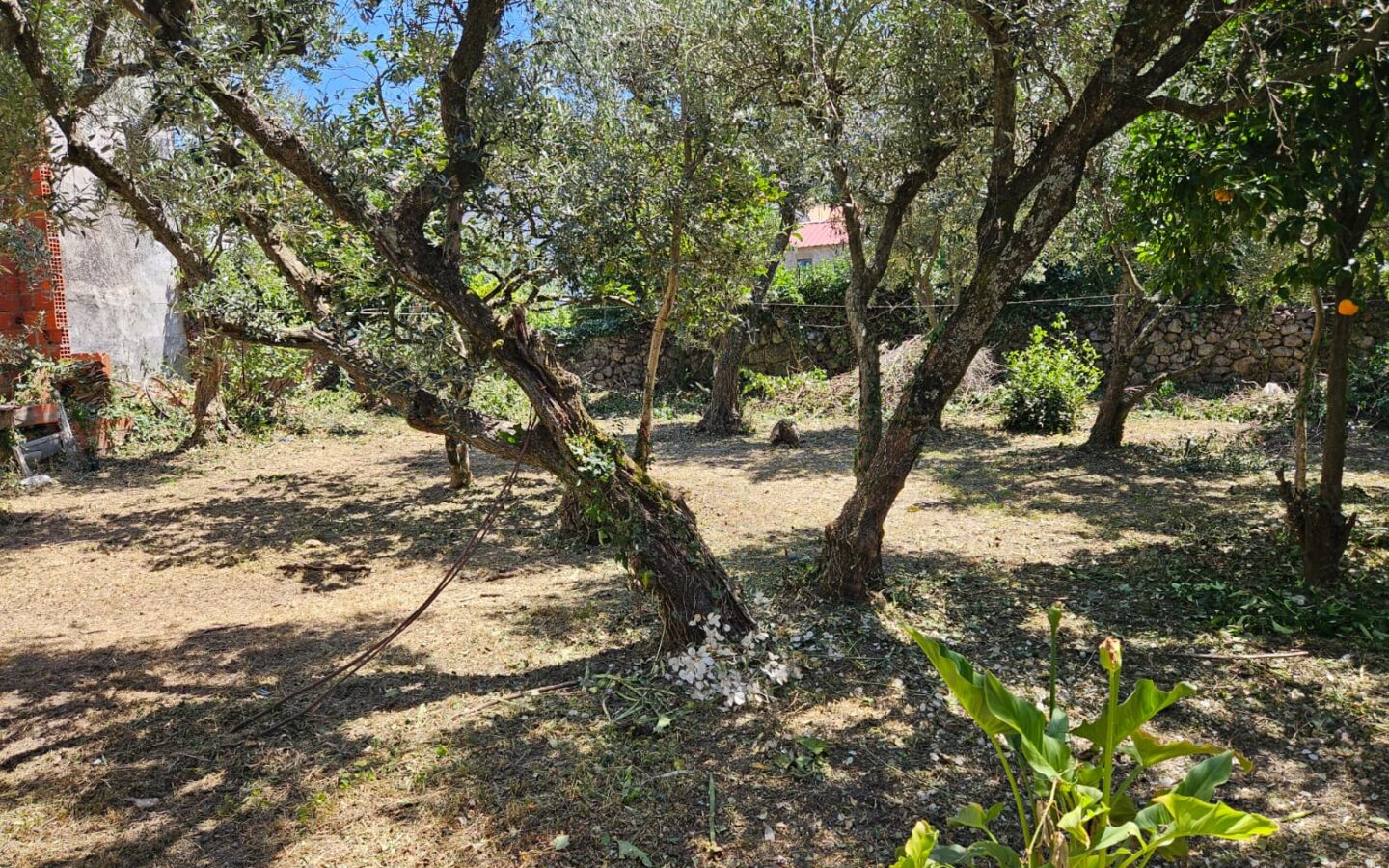 Oportunidade Única Na Serra Da Estrela – Imóvel Rústico Em Melo, Gouveia