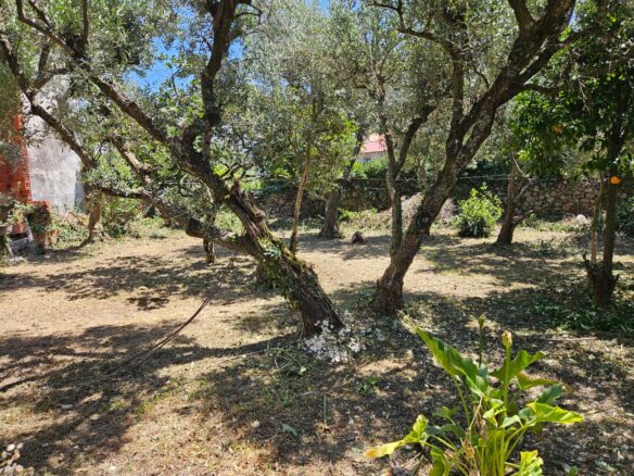 Oportunidade Única Na Serra Da Estrela – Imóvel Rústico Em Melo, Gouveia