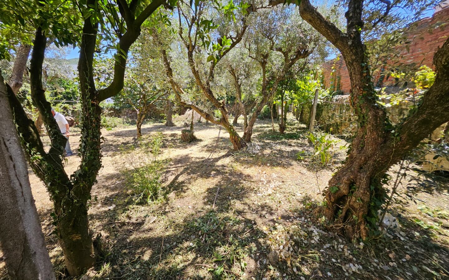 Oportunidade Única Na Serra Da Estrela – Imóvel Rústico Em Melo, Gouveia