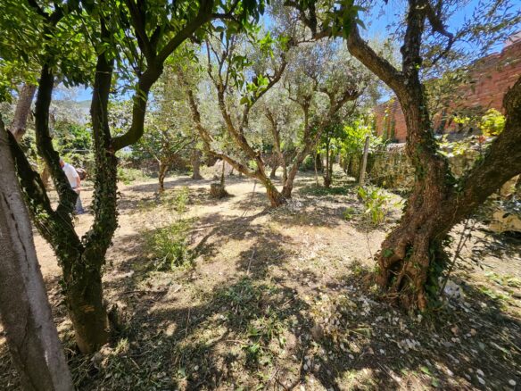 Oportunidade Única Na Serra Da Estrela – Imóvel Rústico Em Melo, Gouveia