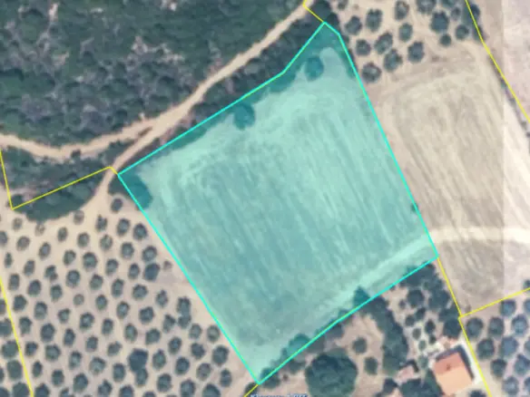 Land In Aristotle, Greece