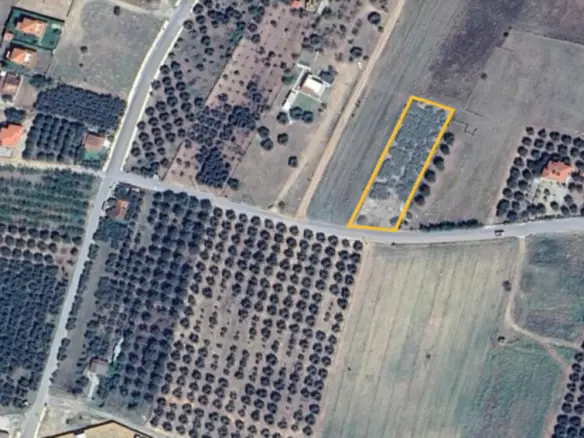 Land In Poligiros, Greece