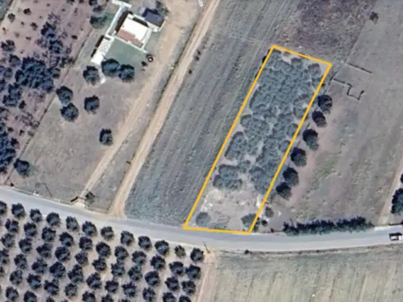 Land In Poligiros, Greece