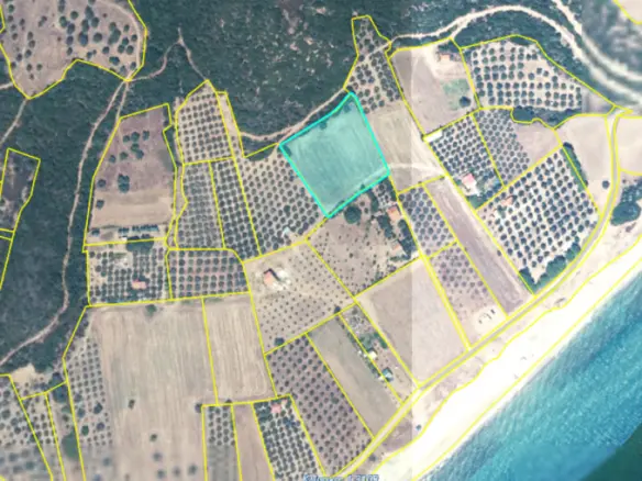 Land In Aristotle, Greece