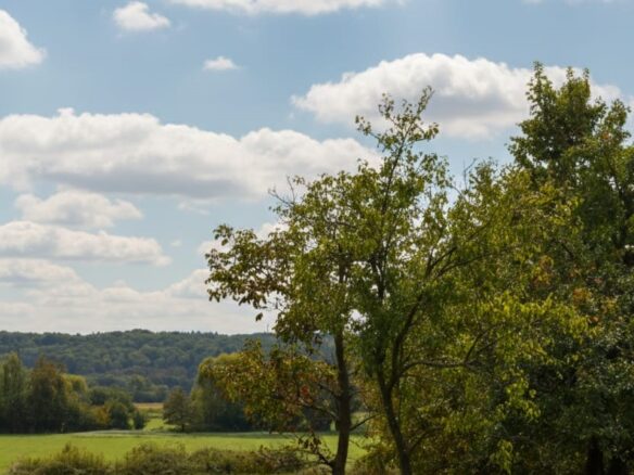 Wunderschönes Haus Im Őrség-nationalpark, Ungarn, 20 Minuten Von Der österreichischen Grenze Entfernt!