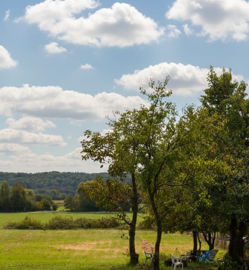 Wunderschönes Haus Im Őrség-nationalpark, Ungarn, 20 Minuten Von Der österreichischen Grenze Entfernt!