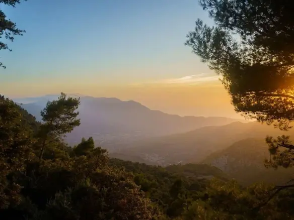Land In Mancor De La Vall, Spain (574 M² Plot)