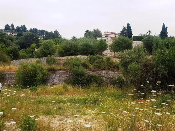 Land In Puigpunyent, Spain (2.251 M² Plot)