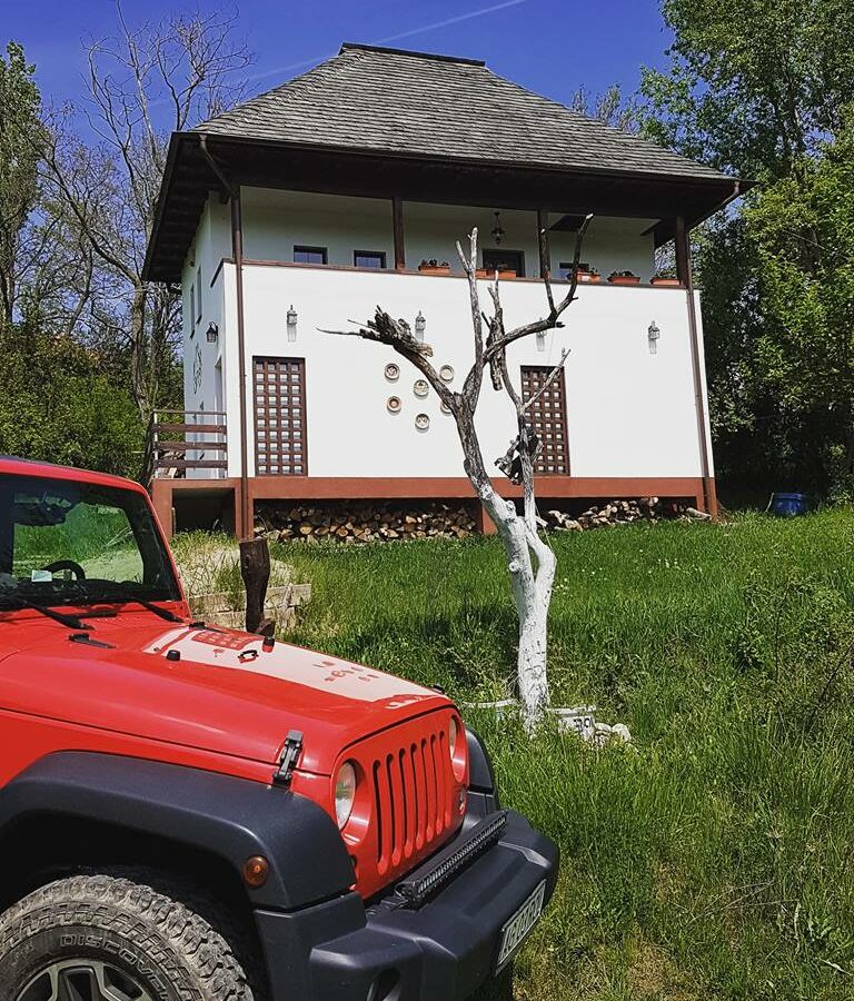 Owner: Unique 8,000sqm Luxury Estate – Restored Heritage Cottage & Modern Design Villa, Muscel Area