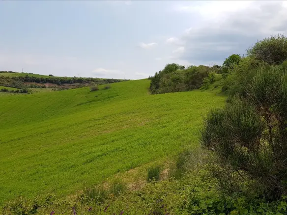 Land In Aristotle, Greece